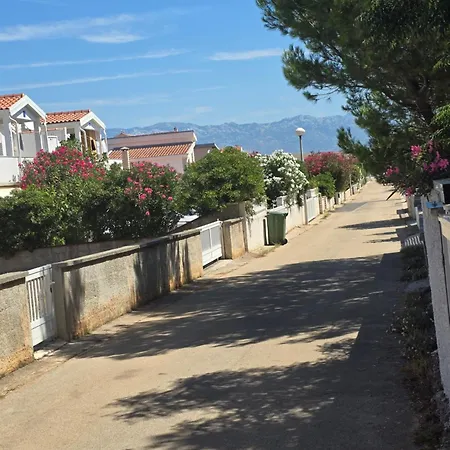 Paloma Bianca With Big Terrace